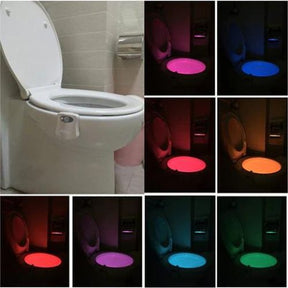 GlowBowl